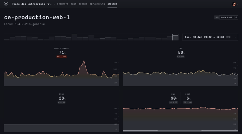 RoRvsWild servers monitoring